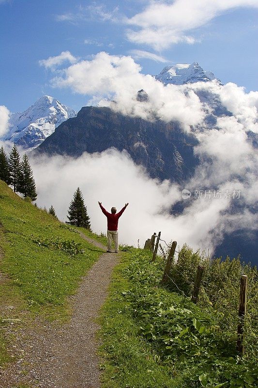 瑞士阿尔卑斯山的自画像