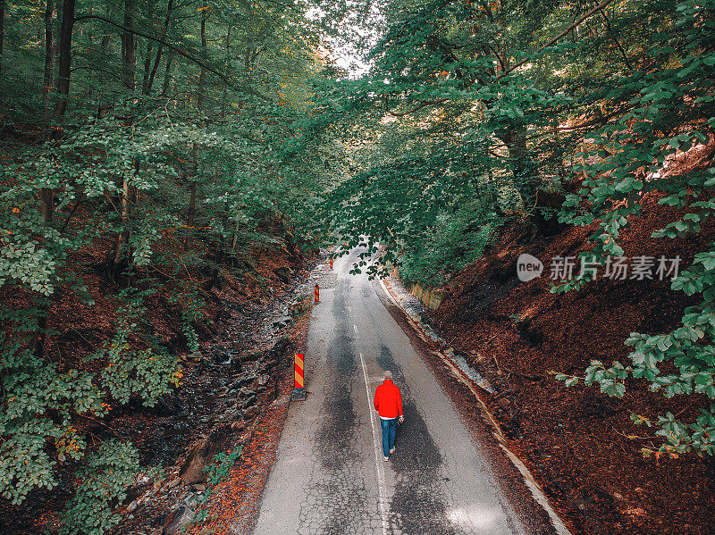 一个人独自行走在乡村小路上，俯瞰着绿色的森林景观