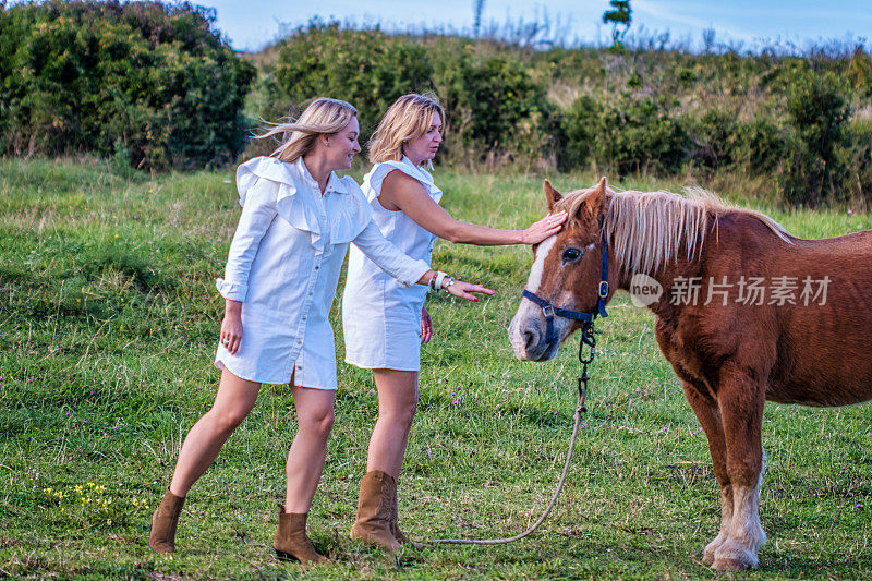 两个女人在田野上抚摸一匹马