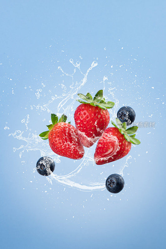 飞草莓与水溅孤立在蓝色的黑色地面。垂直格式。重力的概念。