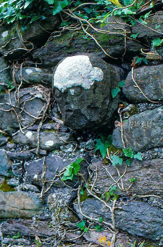 旧积极电影扫描，克罗姆Dubh异教徒偶像的头在克罗甘，丁格尔半岛，爱尔兰克里郡的新教教堂废墟的墙壁上
