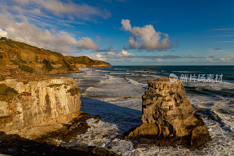 毛利人湾Muriwai