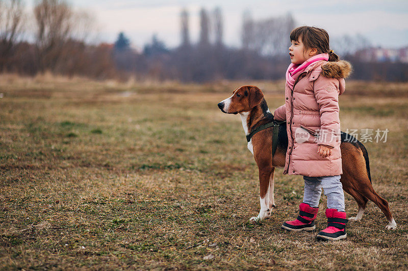 在一个寒冷的秋日，狗和小女孩站在草地上好奇地看着一边。