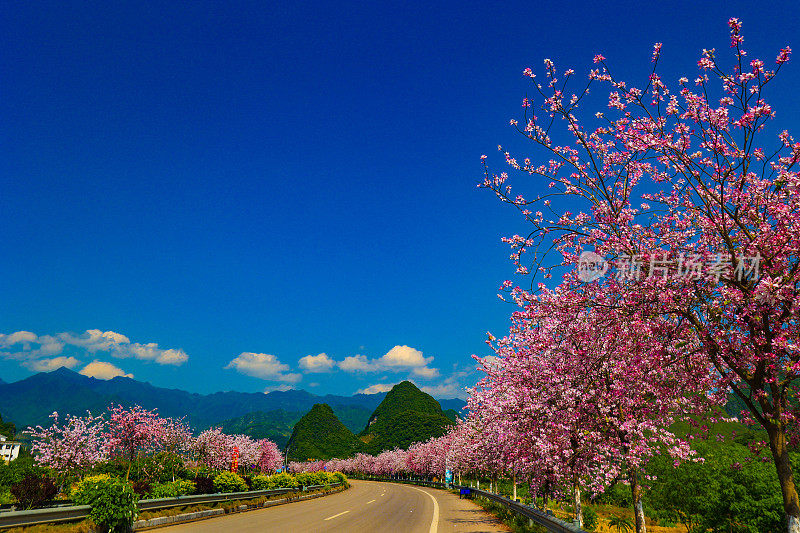 春季道路交通