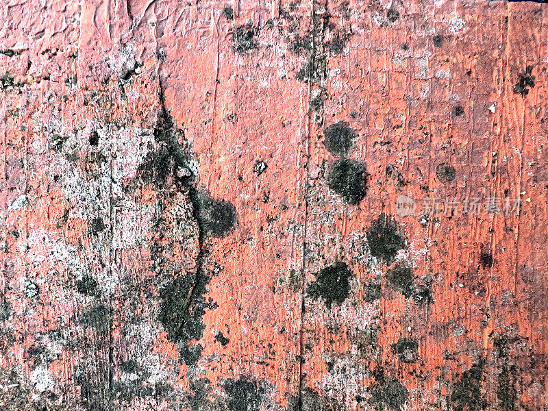 红砖上有岁月的痕迹，还有青苔和霉菌。