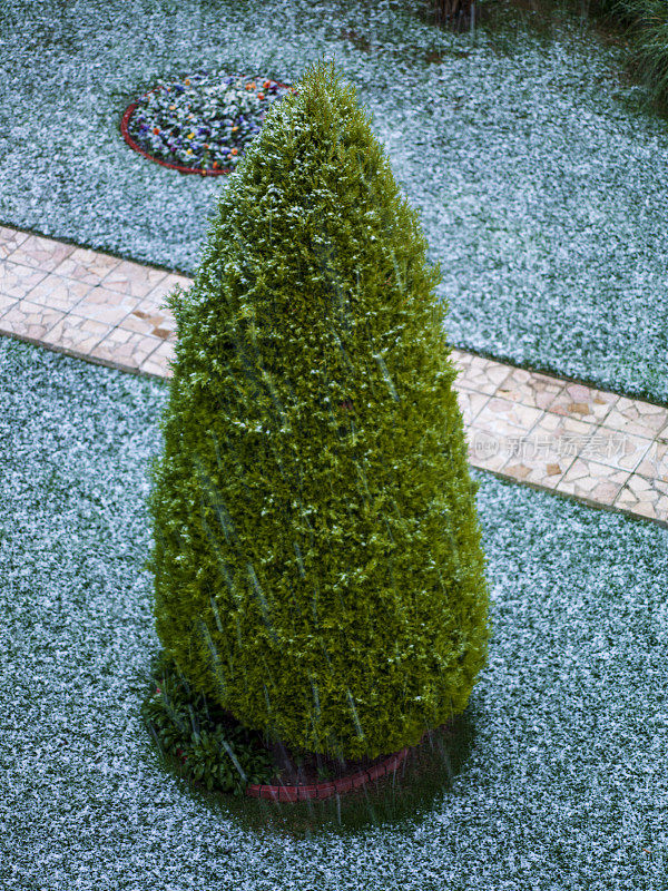 雪花园