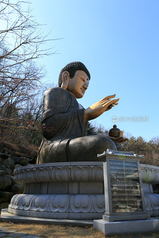 巨大的佛像韩国佛教寺庙