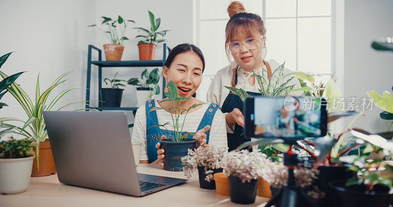 年轻的亚洲女性上午在树店用手提电脑接收订单，并通过电话在线播放植物录制视频。