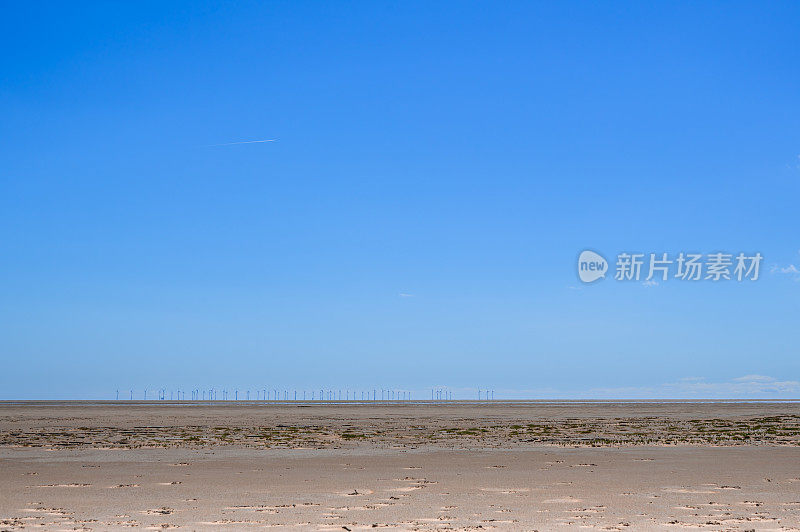 夏日清晨退潮时的荒芜海滩