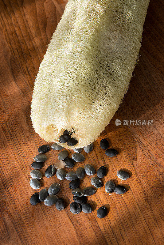 加拿大的菜园——成熟的丝瓜海绵和种子放在胡桃木桌子上