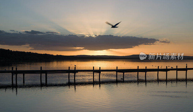 黄昏的剪影码头在湖上与壮丽的阳光和飞海鸥在晚霞