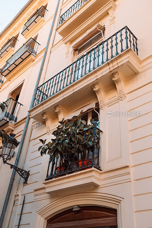 巴伦西亚市街道上的老建筑墙。用常绿植物装饰的窗户和阳台。西班牙。