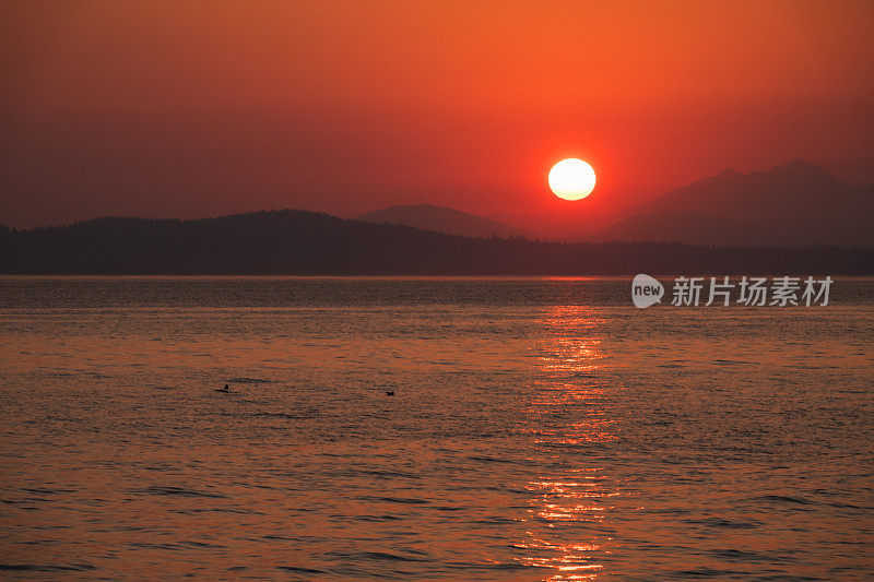 西雅图大火浓烟