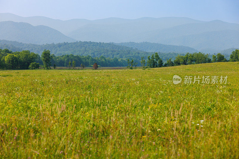 美丽的田野，背后是群山