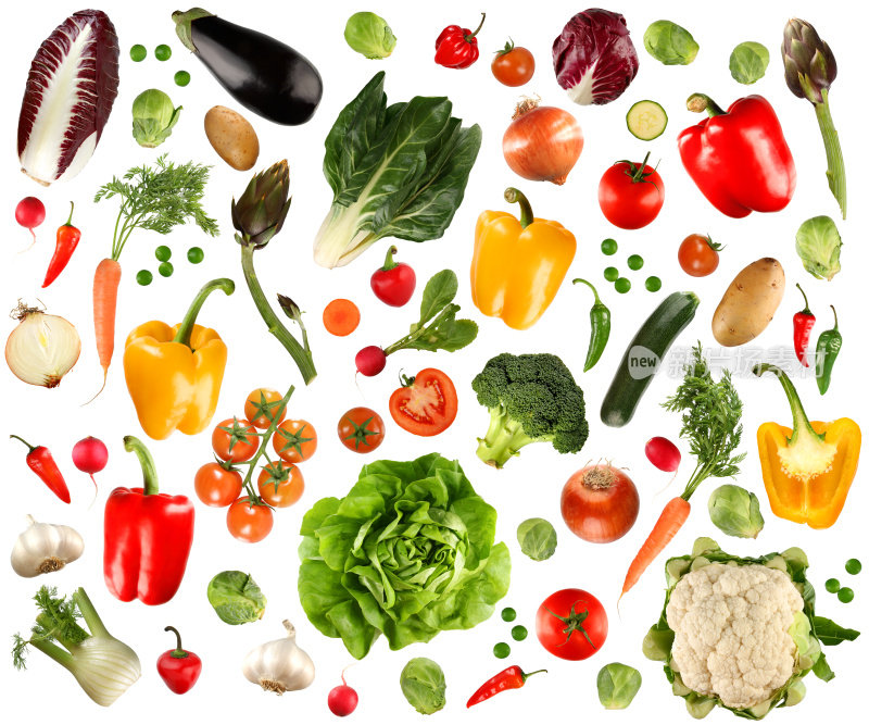 在白色背景下排列几种蔬菜