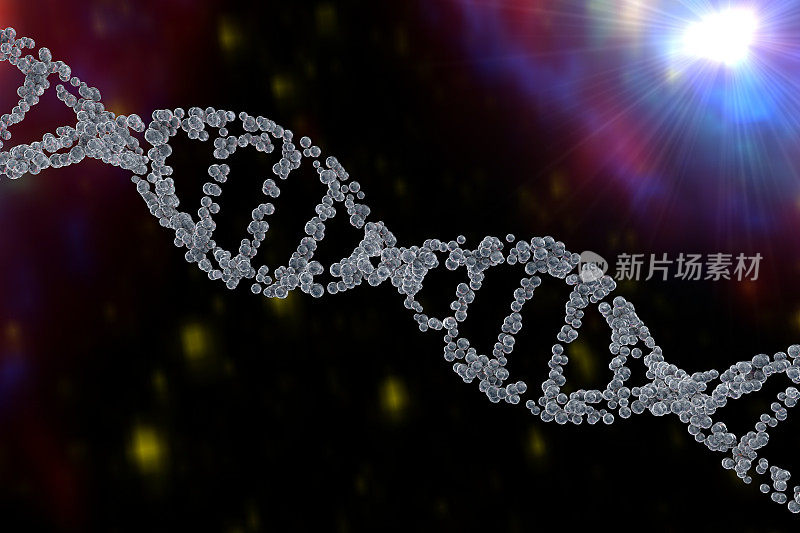 DNA的双螺旋结构