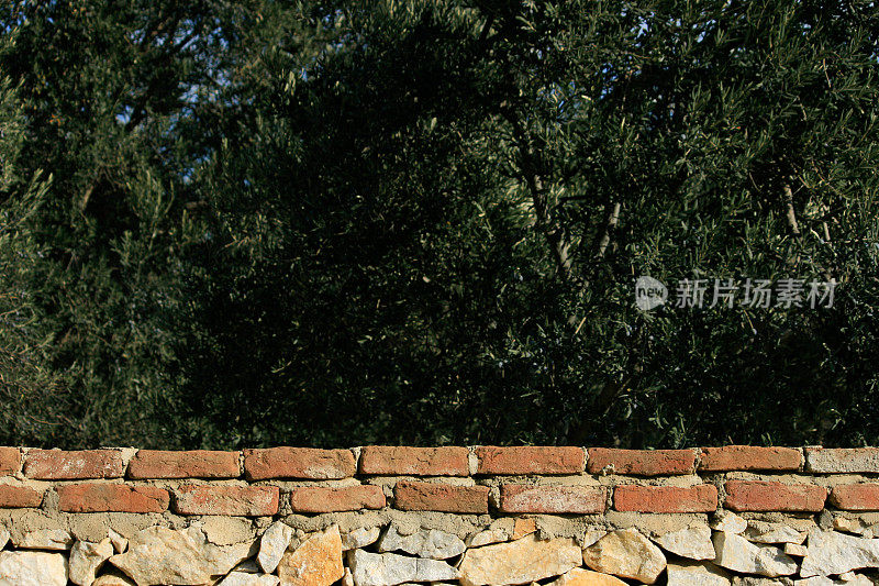 墙和橄榄树