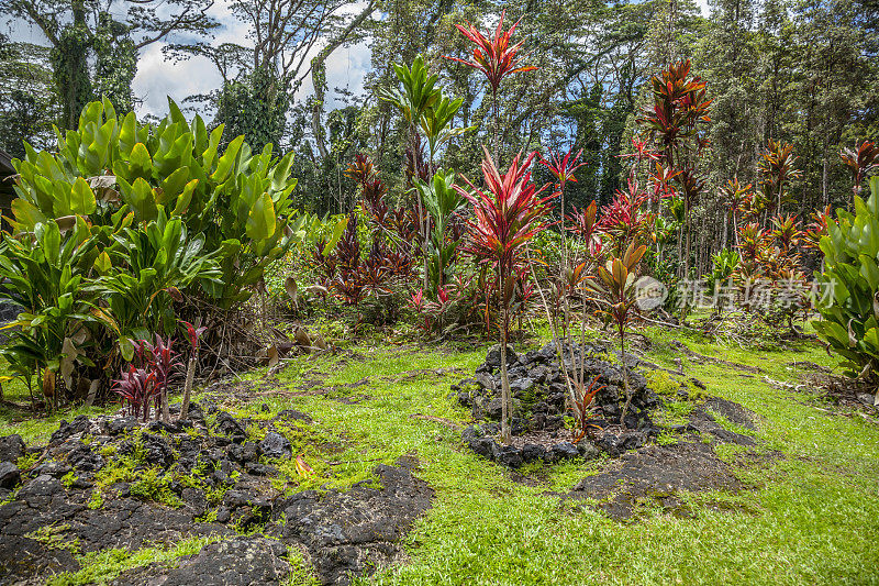 热带火山景观，夏威夷，美国