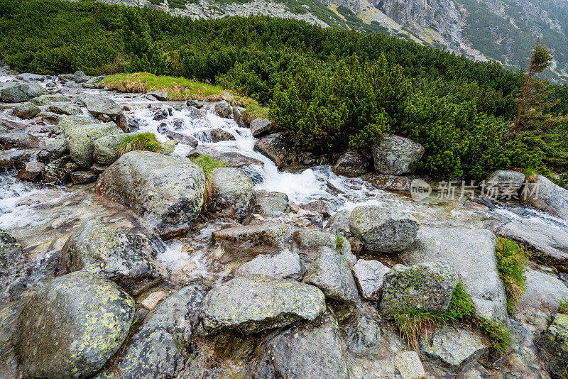 高山