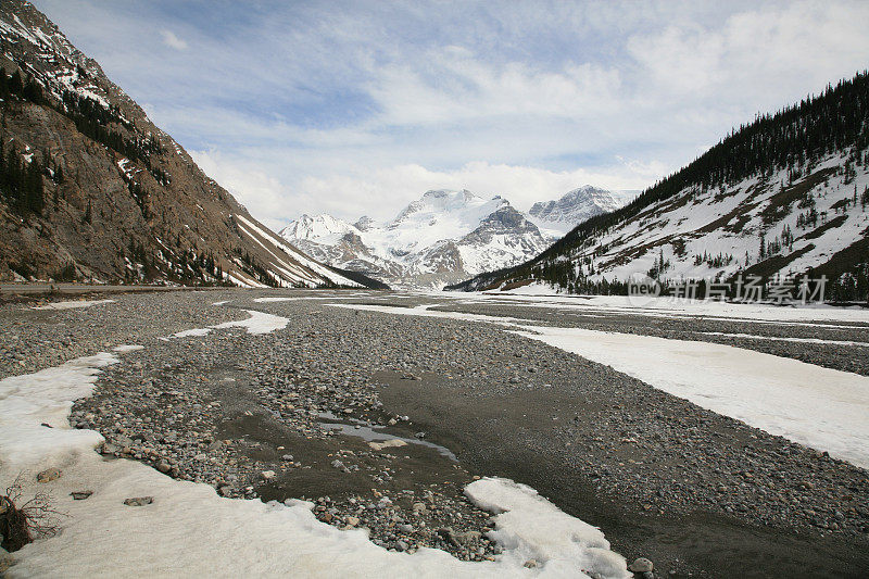 春天的Sunwapta河和Athabasca山。