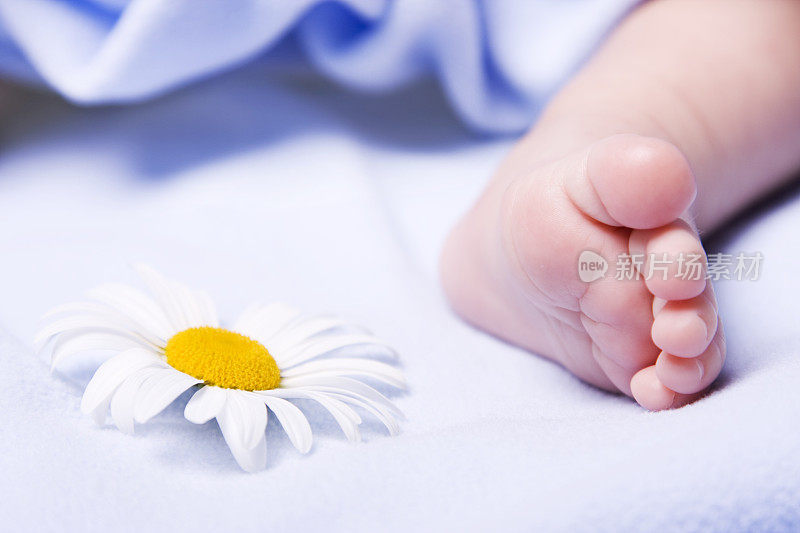 新生儿的脚和美丽的雏菊
