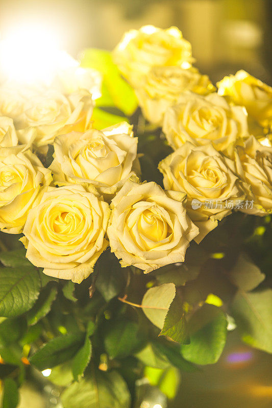 黄色玫瑰花束-细节