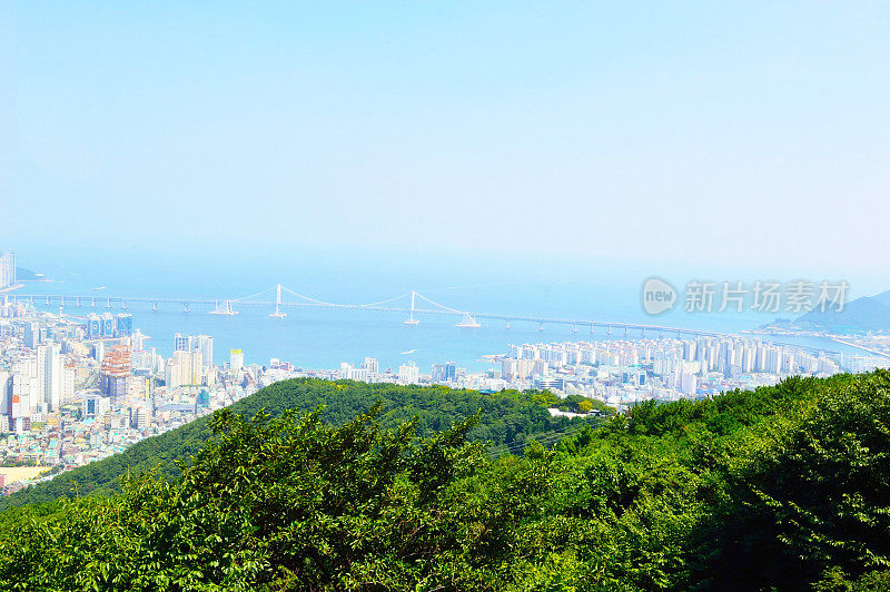 从锦莲山俯瞰釜山的全景