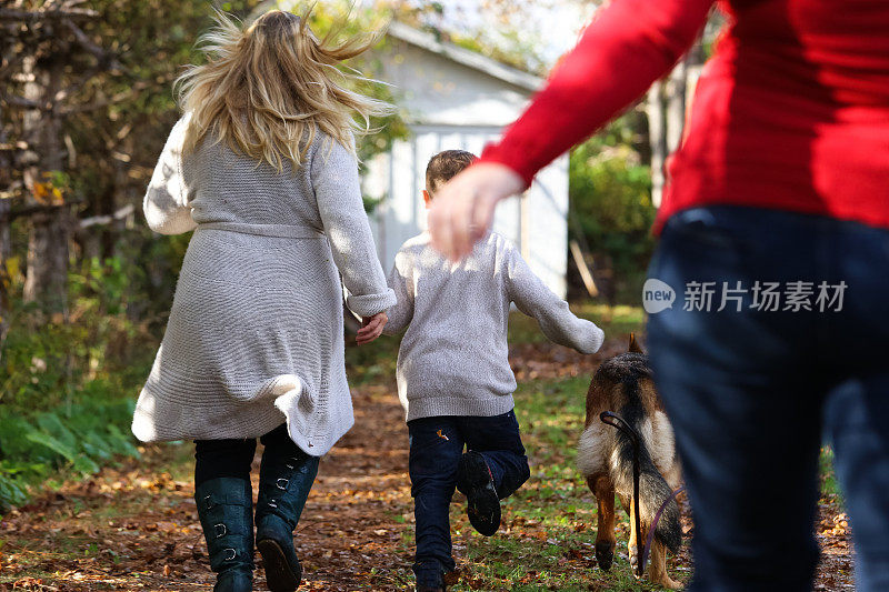 怀孕的妈妈，朋友，小男孩，狗狗在秋天里玩耍跑步