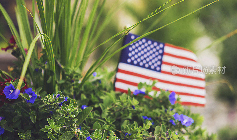 花卉和美国国旗的花园种植美国节日