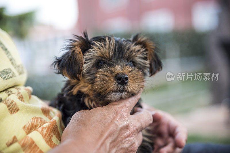 在他的怀抱中安然无恙