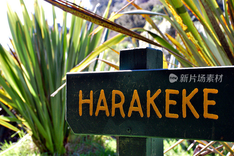 在特里奥的Harakeke标志(新西兰亚麻)