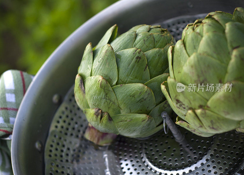 蒸锅煮洋蓟，新鲜食物和春天的青菜