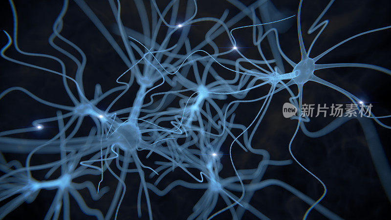 神经元细胞网络在黑色