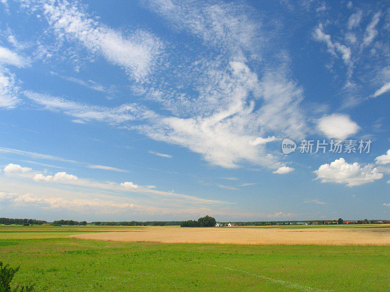 阳光明媚的风景