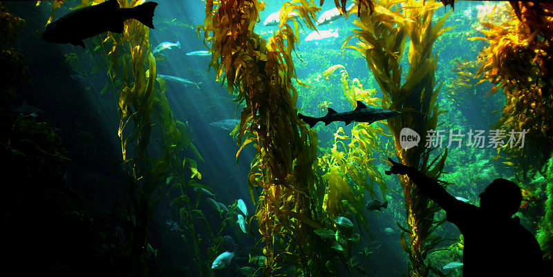 大型水族馆