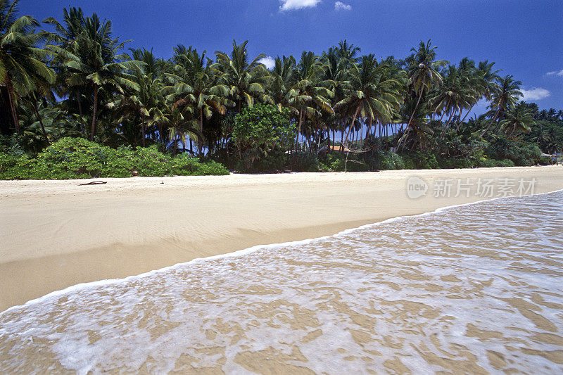 斯里兰卡，马里萨海滩。