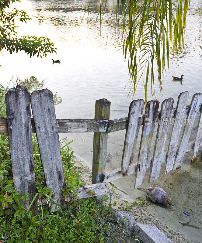 有鸭子的木制湖栅栏