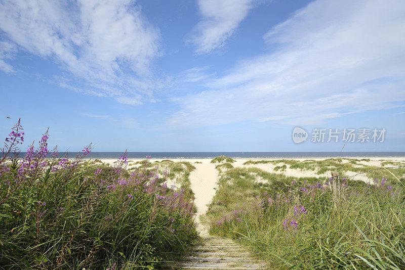 Wangerooge海滩