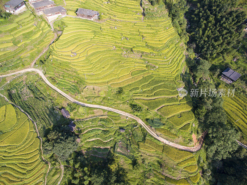 空中龙脊梯田