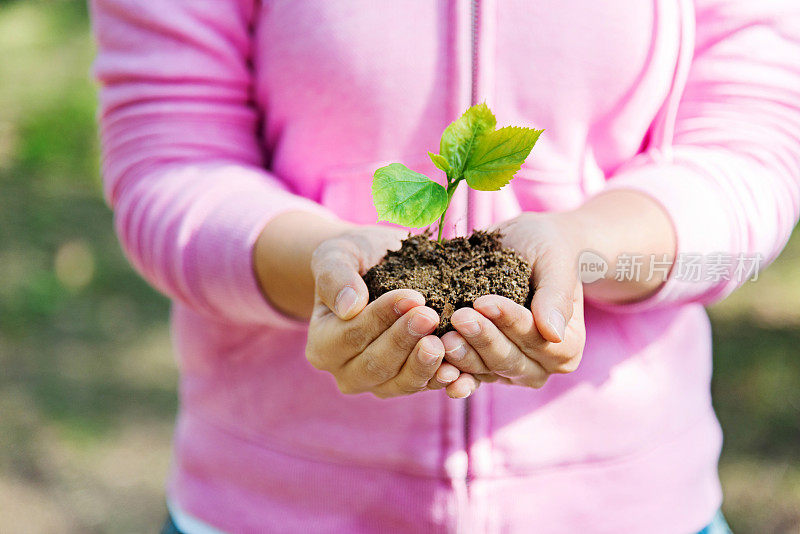 女人手里拿着一株小植物