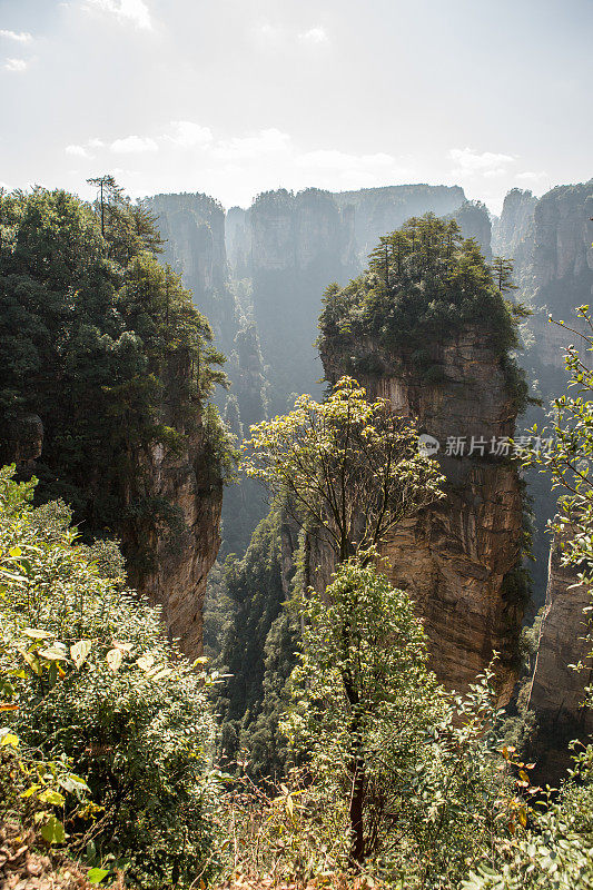 砂岩柱，张家界国家森林公园，中国