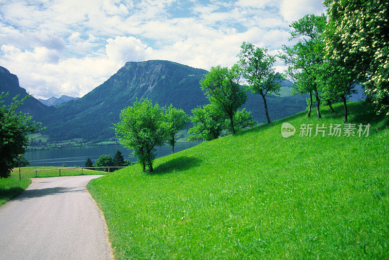 通往湖泊的道路