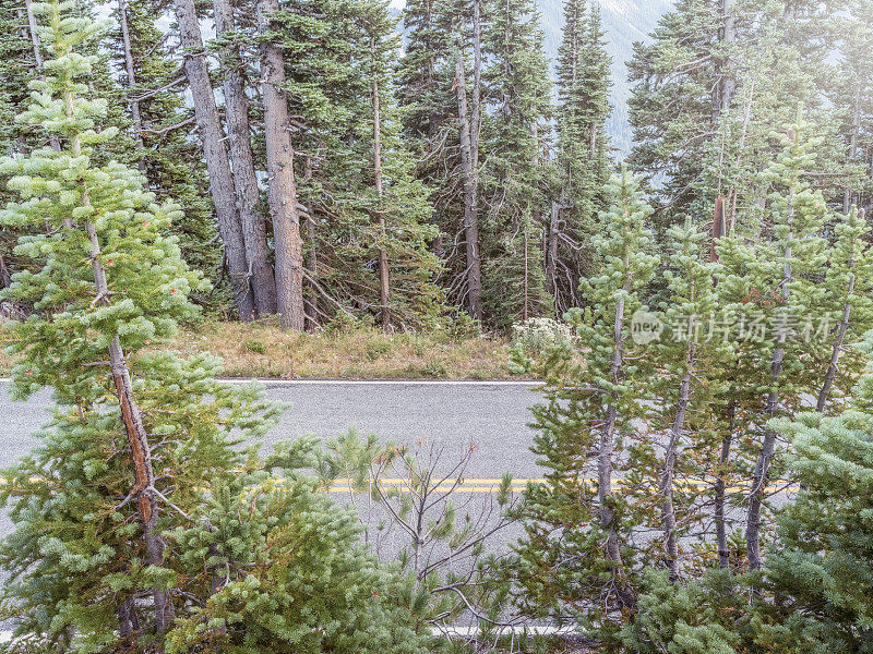 通往雷尼尔山的蜿蜒道路