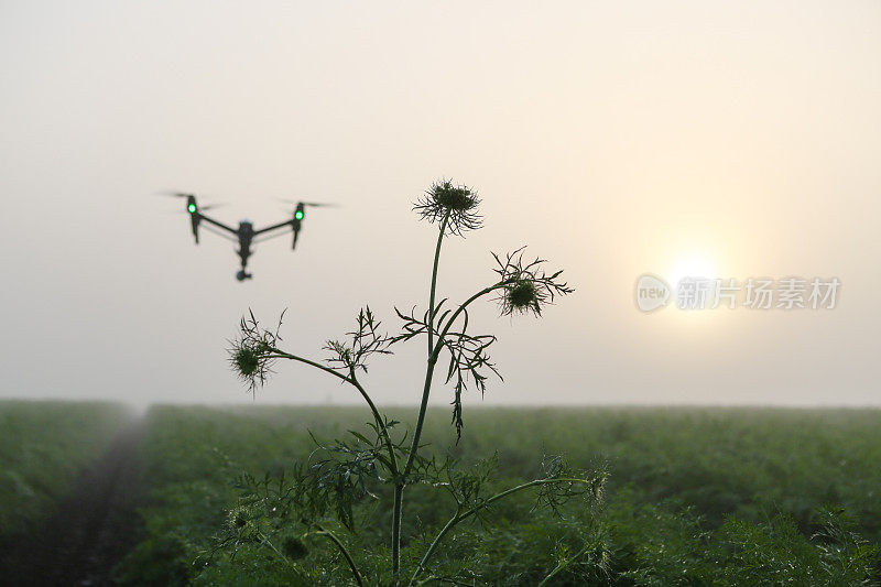 无人机在种植园