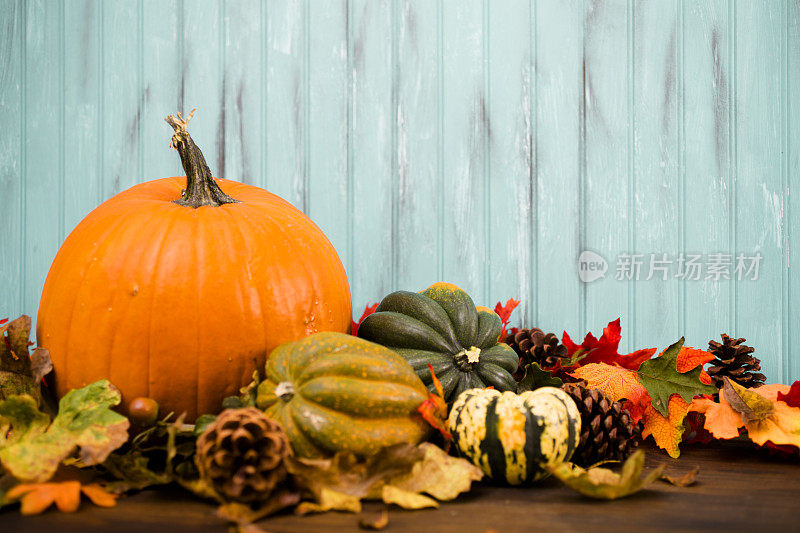 秋天的中心装饰品用橙色的南瓜、树叶装饰。