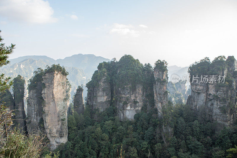 砂岩柱，张家界国家森林公园，中国