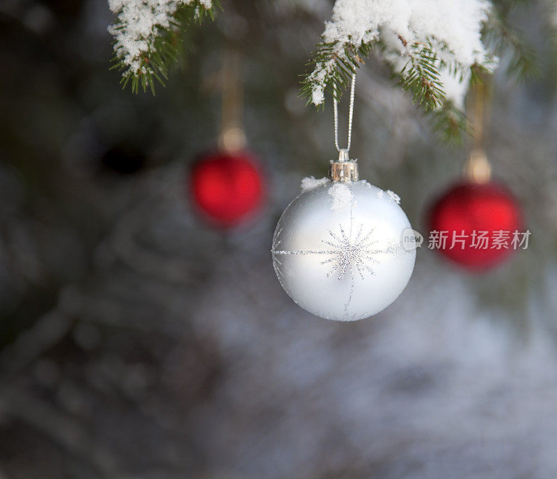 三个圣诞小玩意挂在积雪的树枝上