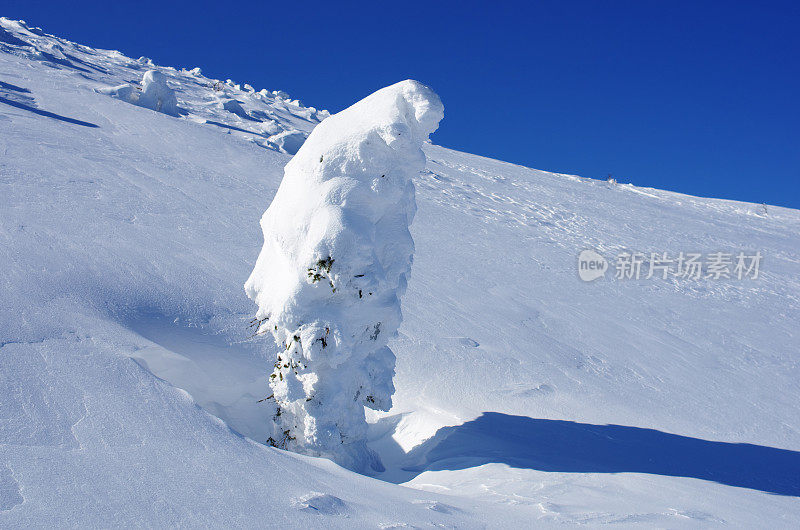 冬天的雪雕像