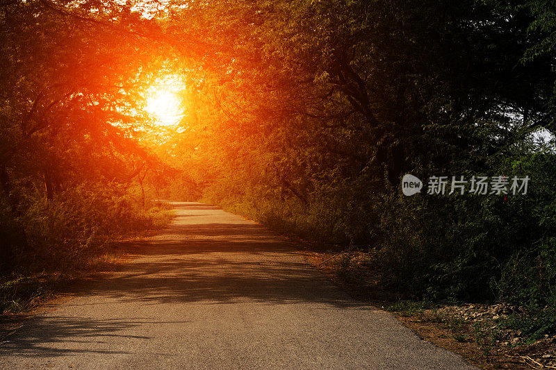 乡村道路与日落