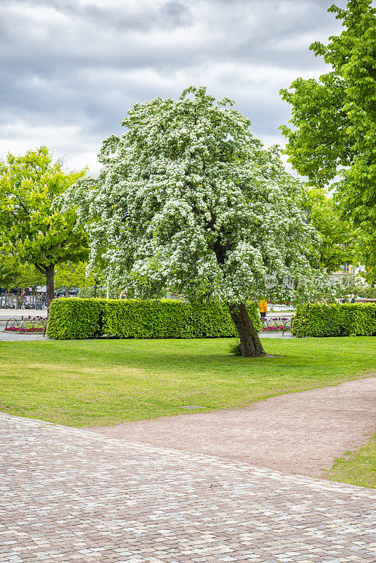 哥德堡城市公园